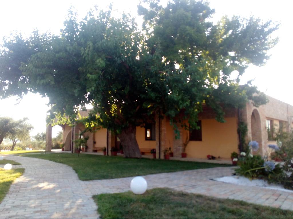 Agriturismo Piccolo Albero Лорето Апрутино Екстериор снимка
