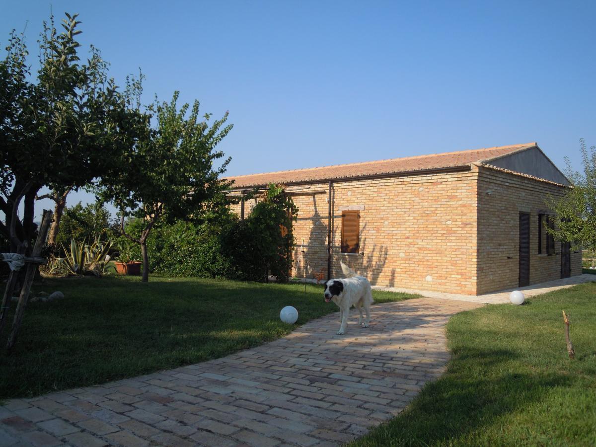 Agriturismo Piccolo Albero Лорето Апрутино Екстериор снимка
